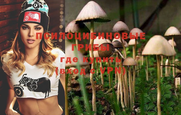 PSILOCYBIN Володарск