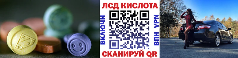 блэк спрут как зайти  Бердск  ЛСД экстази кислота  дарнет шоп 