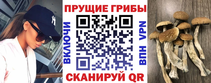 Псилоцибиновые грибы мухоморы  Бердск 